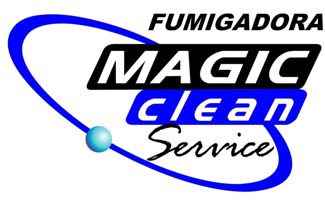 Magic Clean Service